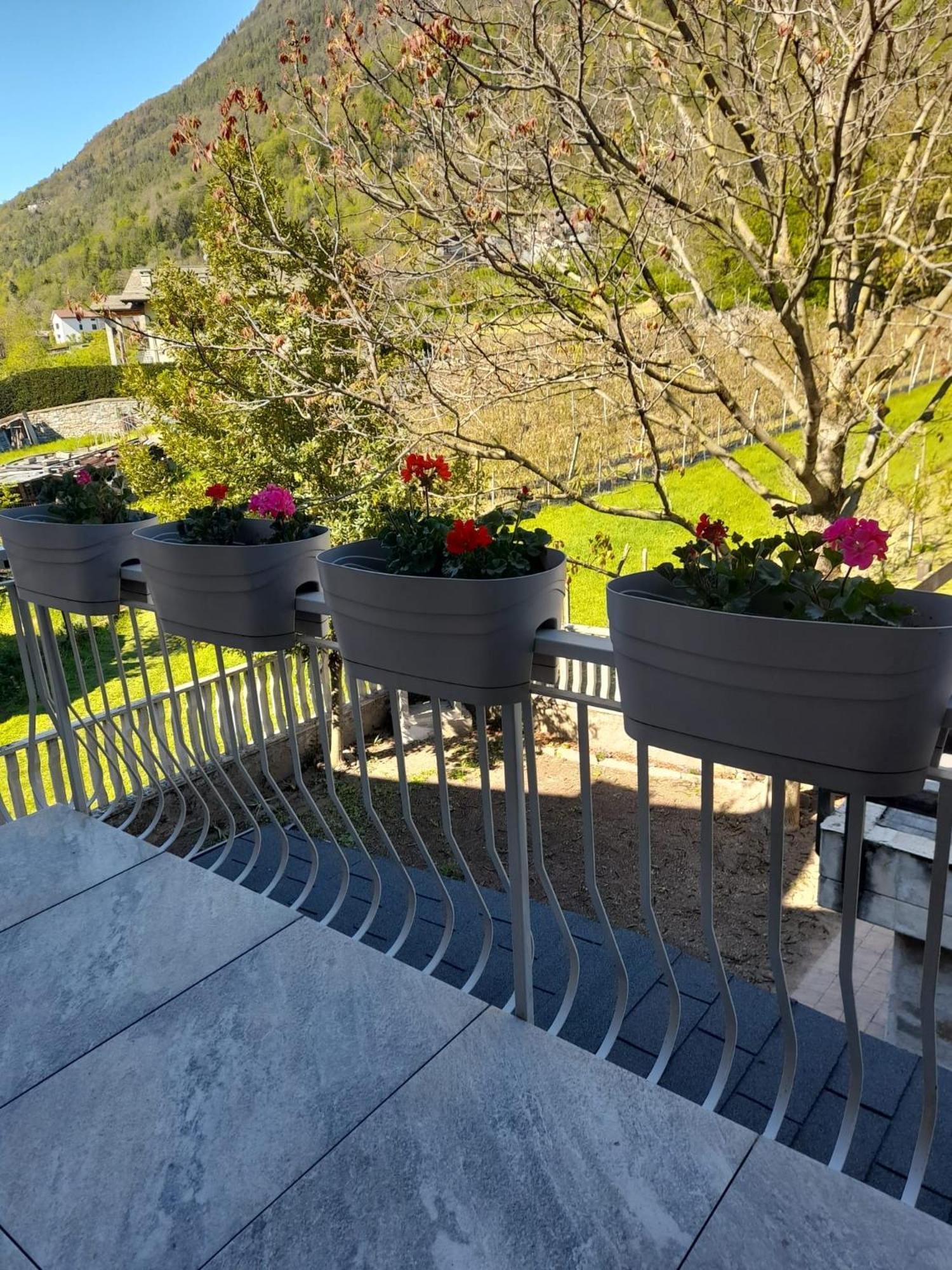 La Casetta Di Campagna Mazzo di Valtellina Exterior foto